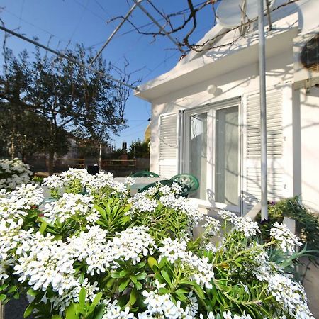 זאדאר Apartman Antonio מראה חיצוני תמונה
